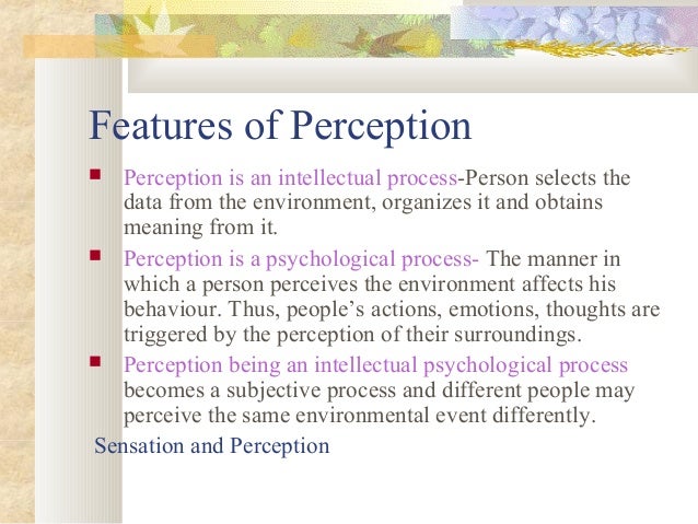 characteristics of environmental perception importance of perception